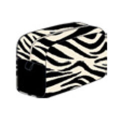 Zebra - Image 6