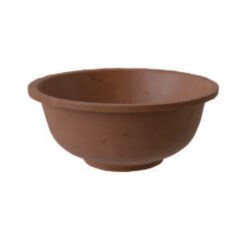 Ancora - Image 7